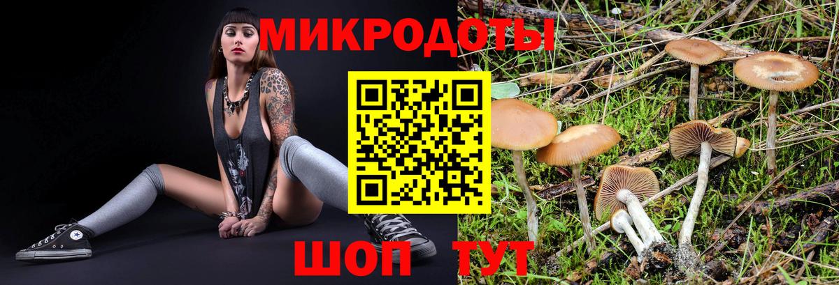 Псилоцибиновые грибы ЛСД Алексин